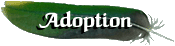 Adoption